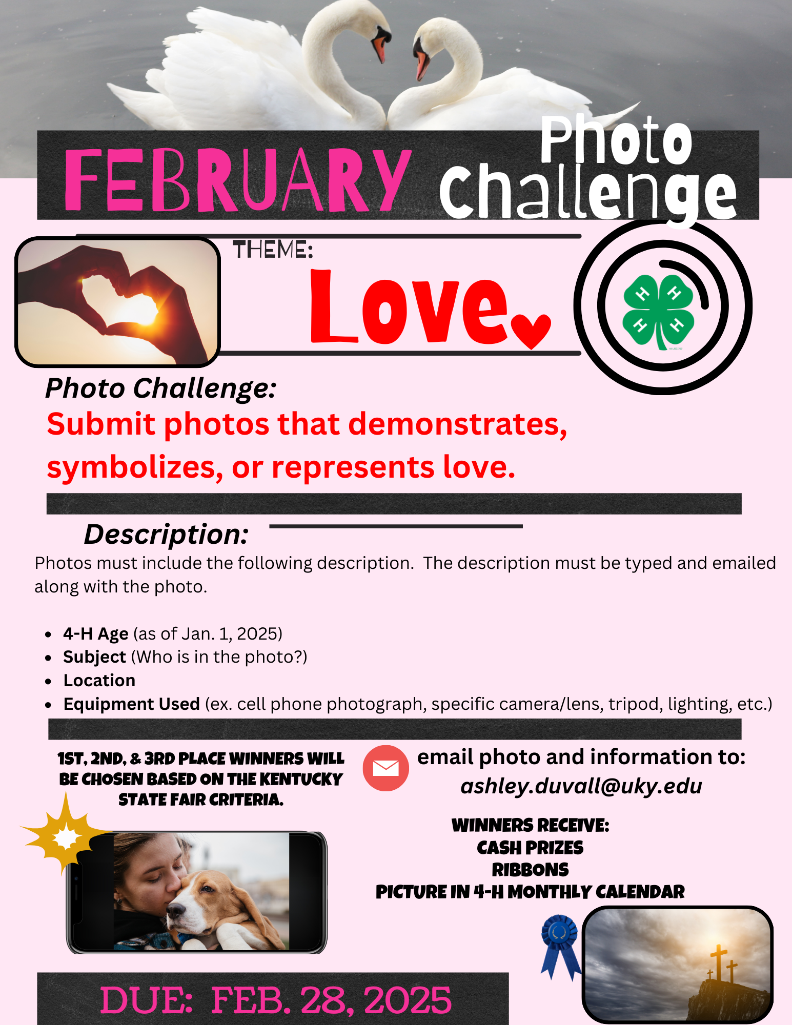 Feb 2025 Photo Contest